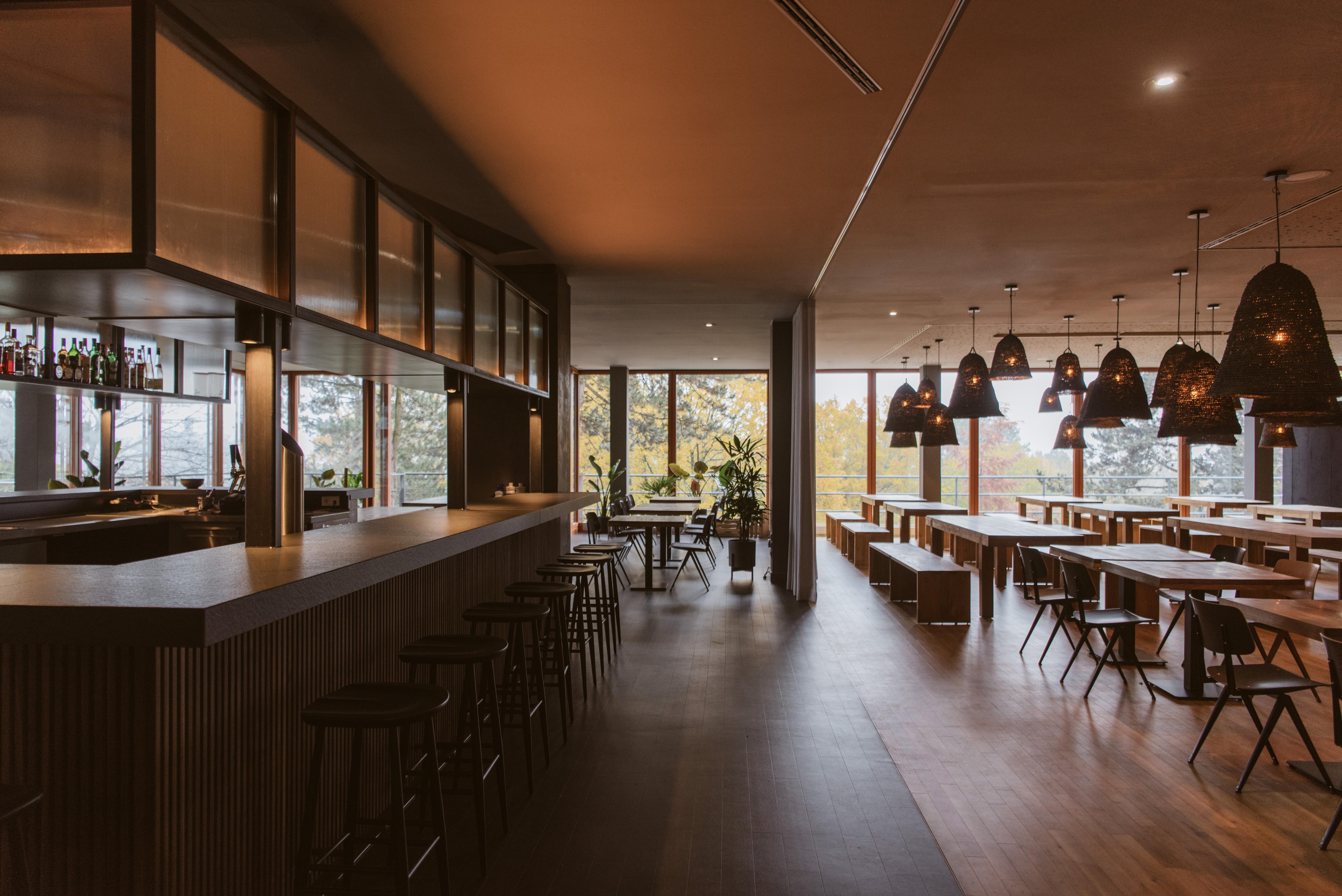Bold Campus Hotel Königstein im Taunus Kültér fotó